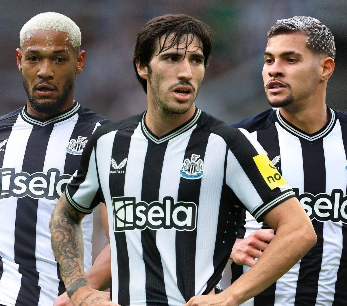 纽卡斯尔取胜,英超保级形势逐渐好转的简单介绍