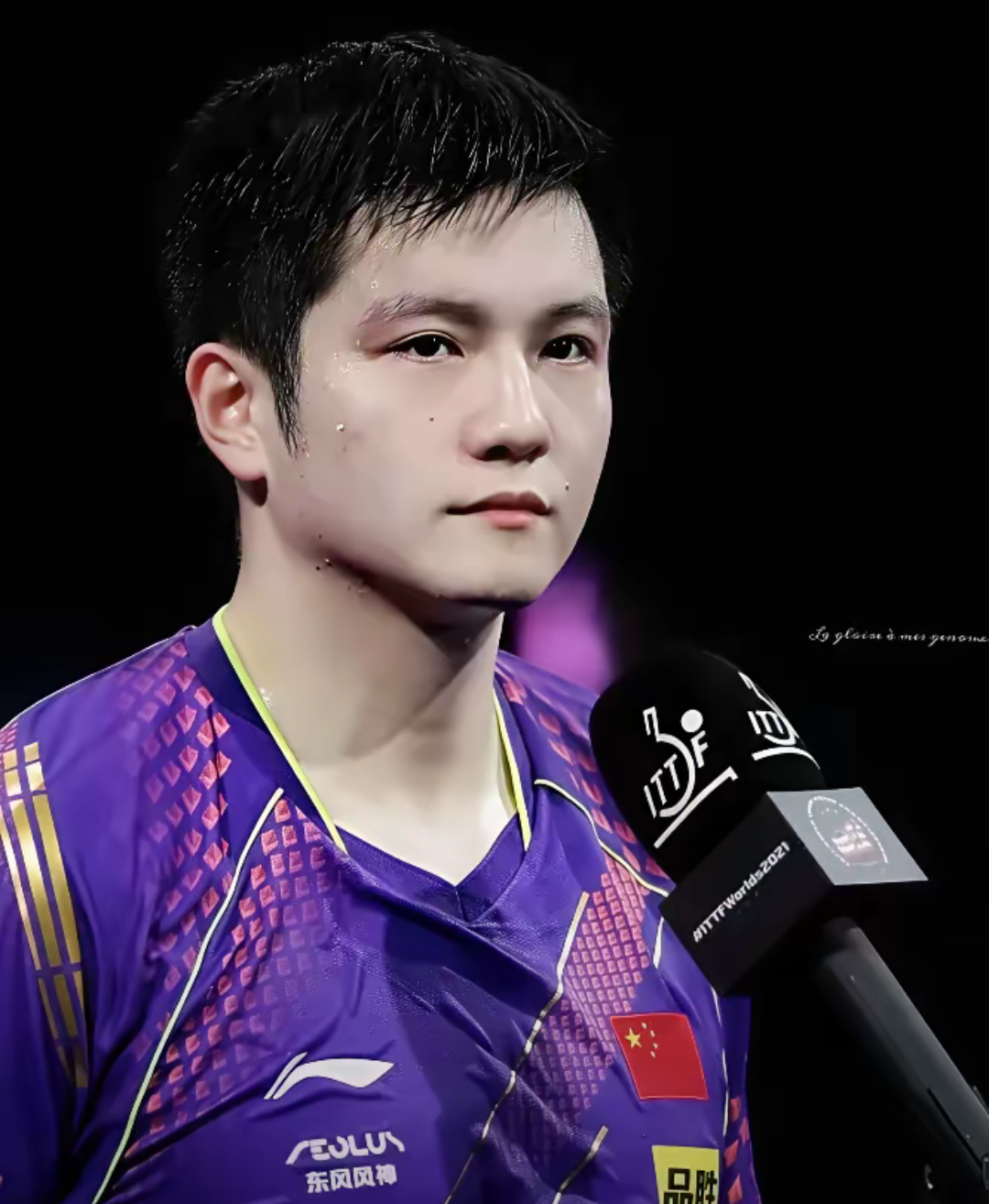 中国乒乓球队碾压法国乒乓球队，樊振东绝境逆转的简单介绍