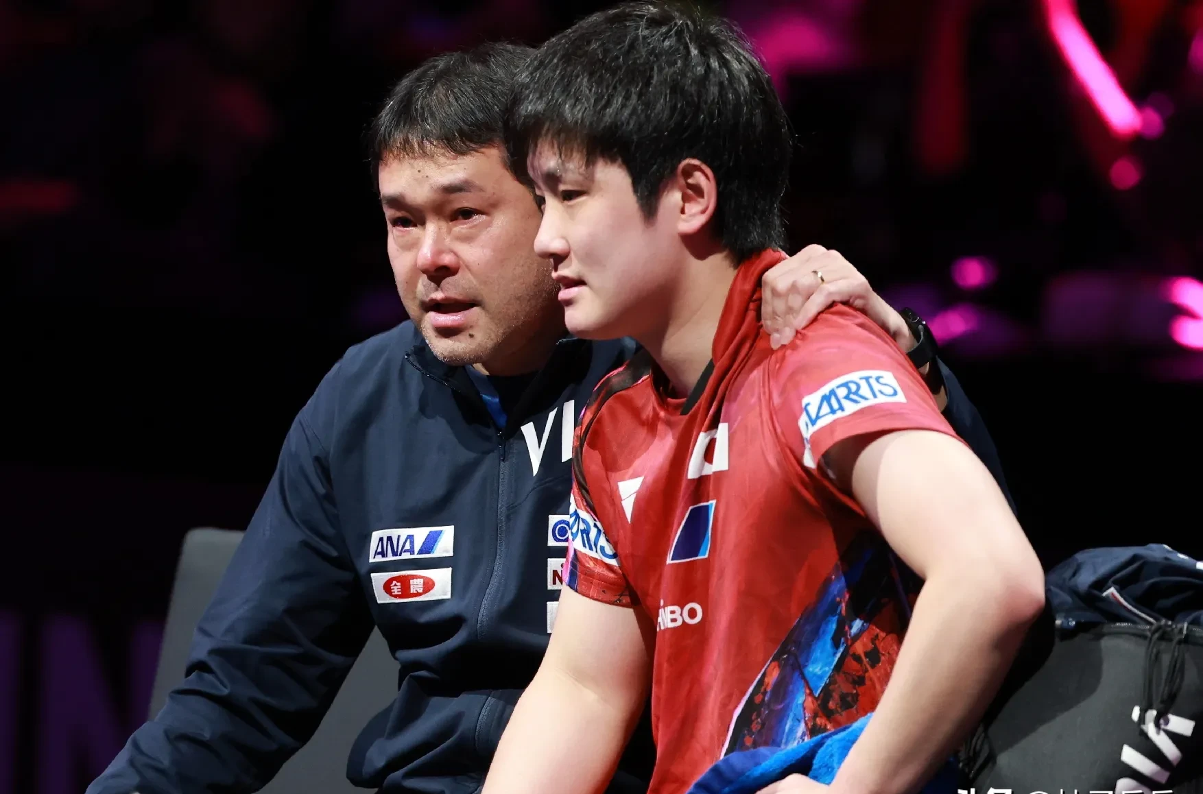 关于日本队险胜奥地利队，张本智和点燃赛场的信息