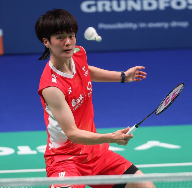 关于法国队碾压丹麦队，辛杜惊艳四座的信息